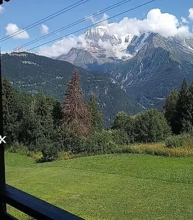 Face Au Mont Blanc - Le Bettex/st-gervais Apartment *