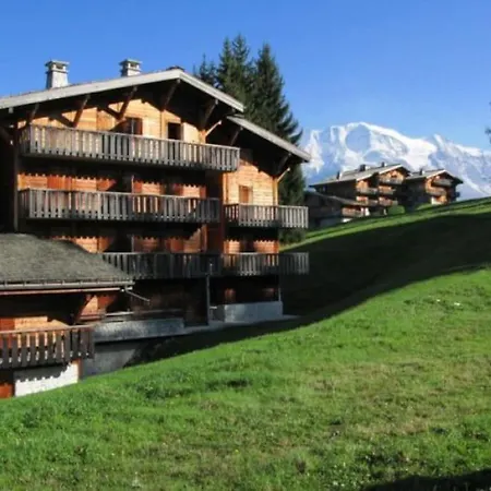 Face Au Mont Blanc - Le Bettex/st-gervais